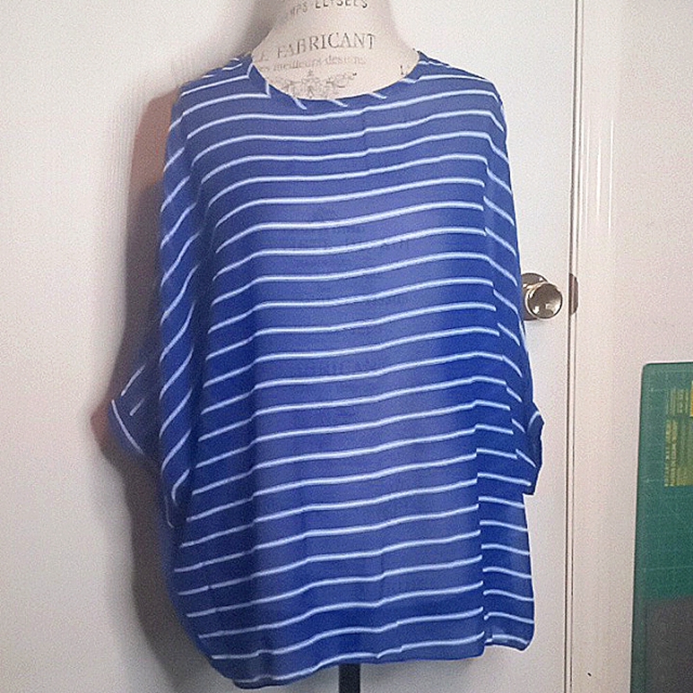 Sheer Ladies Top - Picture 1 of 4